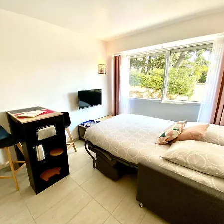Chateau Picaud Scls - Wifi, Climatisation * Cannes