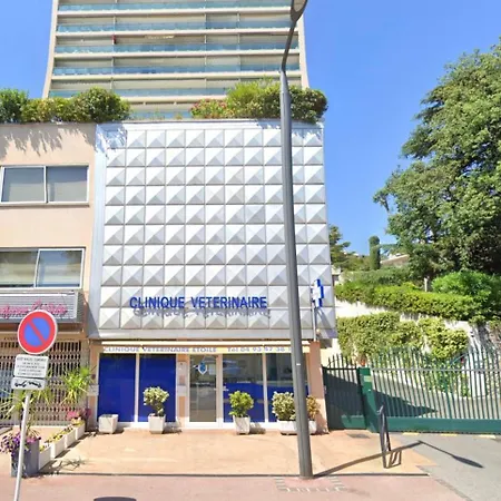 Chateau Picaud Scls - Wifi, Climatisation * Cannes