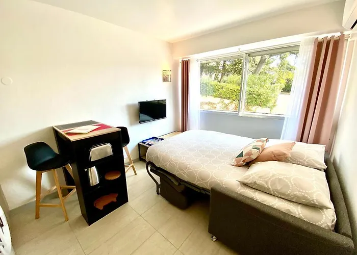 Chateau Picaud Scls - Wifi, Climatisation * Cannes