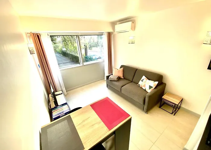 Chateau Picaud Scls - Wifi, Climatisation Daire Cannes