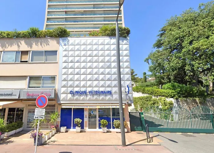 Chateau Picaud Scls - Wifi, Climatisation * Cannes